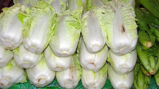 7 Manfaat Sawi Putih Untuk Kesehatan Dan Cara Mengolahnya Yang Mudah Hot Liputan6 Com