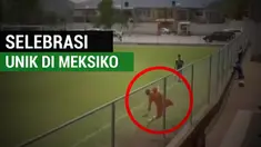 Berita video selebrasi menabrakkan diri ke pagar tribun di Liga Meksiko. Pemain yang melakukannya adalah striker klub Lobos de Zacoalco, Enrique Sevilla Flores. Momen menarik ini terjadi saat laga Lobos kontra Mamuts de El Salto di DIvisi 3 Liga Meks...