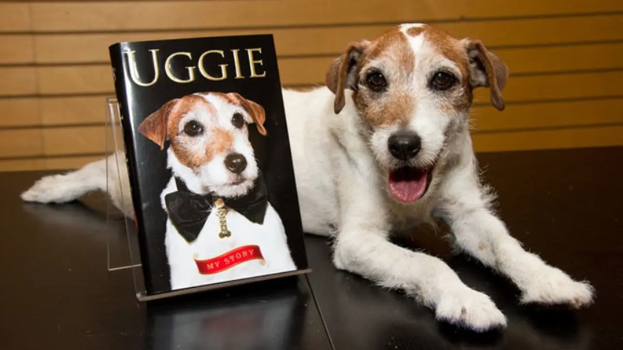 Uggie