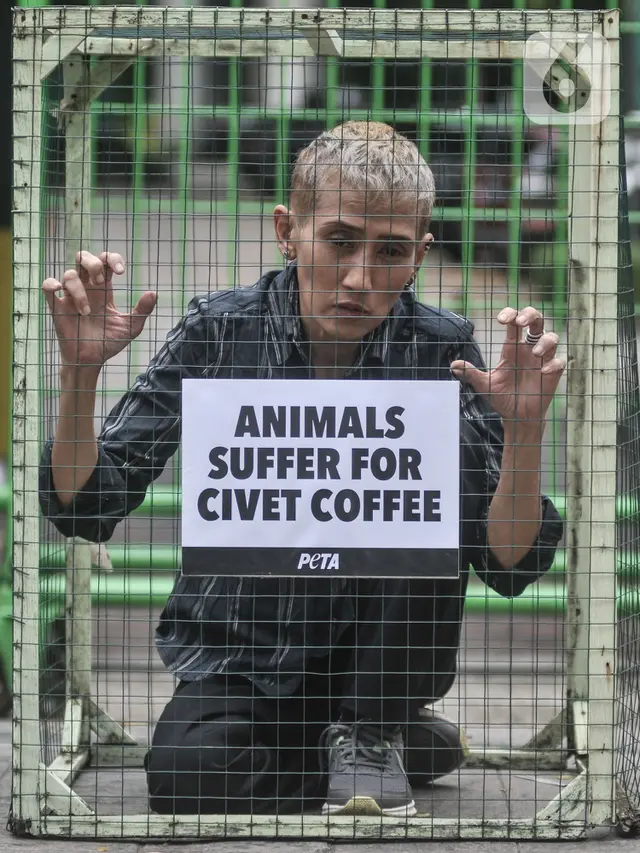 Aksi PETA Kecam Eksploitasi Luwak untuk Produksi Kopi