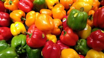9 Manfaat Paprika Hijau untuk Kesehatan, Sumber Nutrisi dan Vitamin