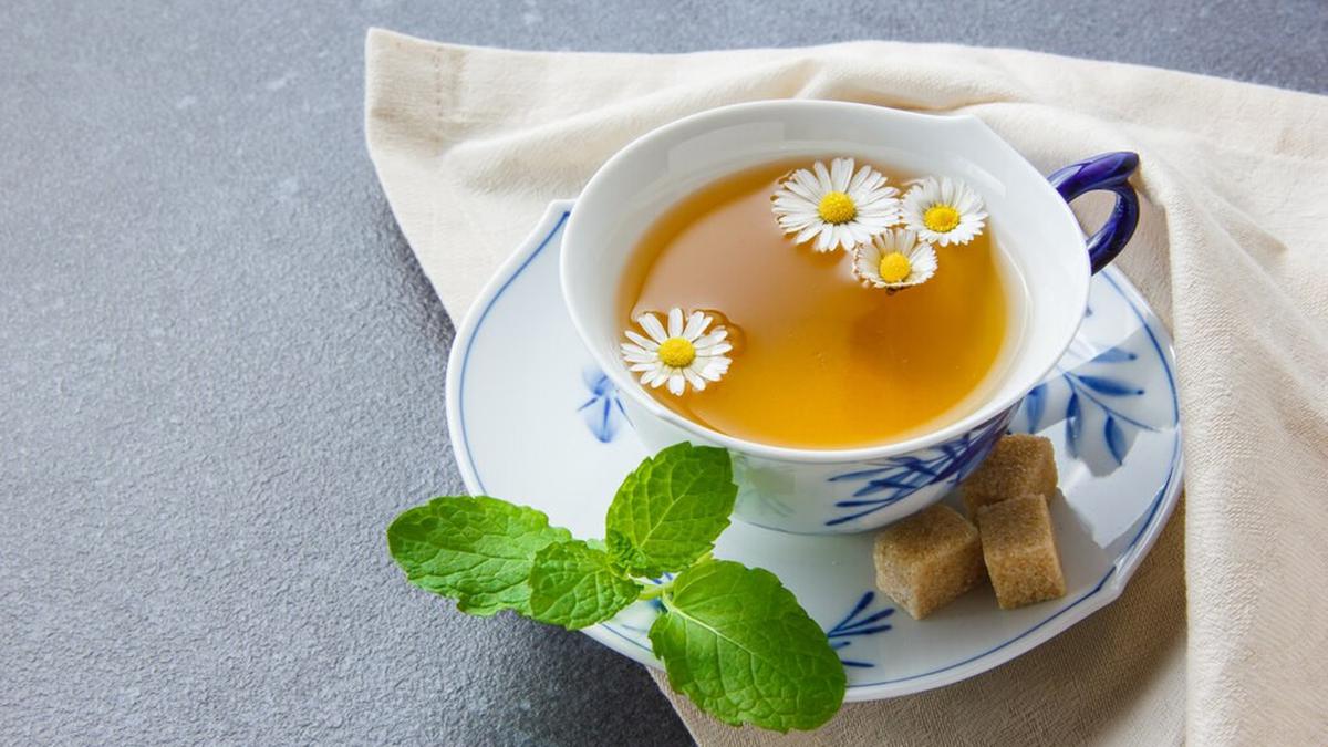 Resep Teh Chamomile yang Kaya Manfaat, Ampuh Turunkan Kolesterol dan Jaga Kesehatan Jantung