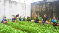 Lapas Maros Gelar Panen Kangkung Hasil Cocok Tanam Warga Binaan