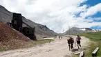 Peserta berlari sambil membawa kedelainya saat mengikuti Pack Burro Race ke-69 di Fairplay, Colorado (30/7). Pack Burro Racing adalah olahraga berlari melintasi kawasan pertambangan dengan membawa keledai. (AFP Photo/Jason Connolly)