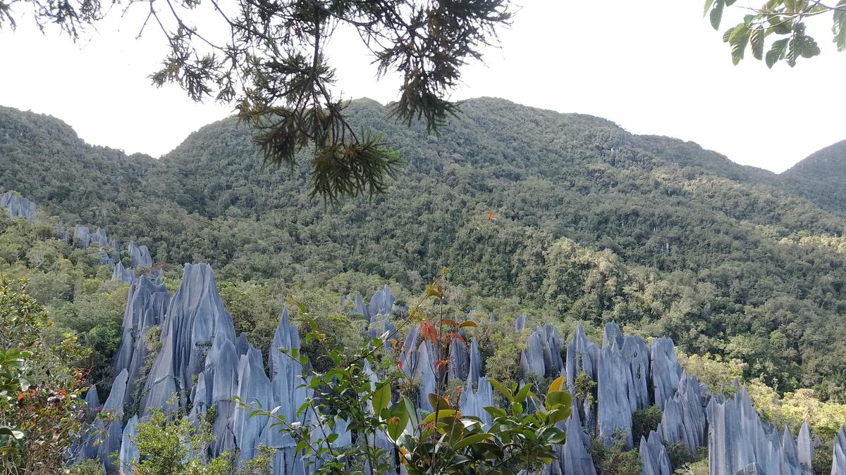 6 Fakta Menarik Gunung Api di Borneo Malaysia yang Bukan Gunung Berapi