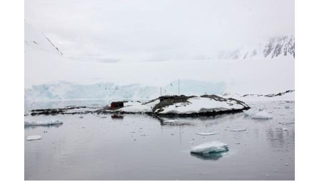 Look at this Antarctic paradise