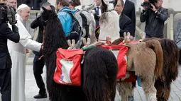 Paus Fransiskus menyambut kedatangan tiga peternak llama ketika tiba di Lapangan Santo Petrus, Vatikan, Rabu (11/4). Tiga pria tersebut membawa tiga ekor llama untuk berziarah ke Vatikan. (AP Photo/Andrew Medichini)