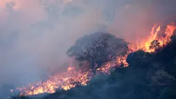 Kebakaran hutan yang telah berlangsung selama berminggu-minggu di provinsi Cordoba (Argentina tengah) semakin meluas pada 20 September dengan dua kali kebakaran hebat. (STRINGER/AFP)