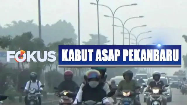 Kabut Asap Kembali Selimuti Pekanbaru, Jarak Pandang Menurun 1 Kilometer