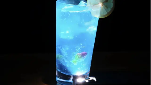 "Smartphone-Fasting Glass"