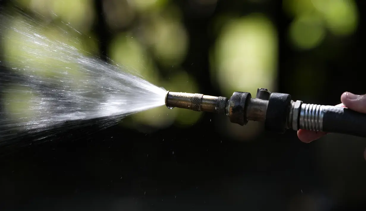 Hewan-hewan Kebun Binatang di Florida Kalahkan Panasnya Musim Panas