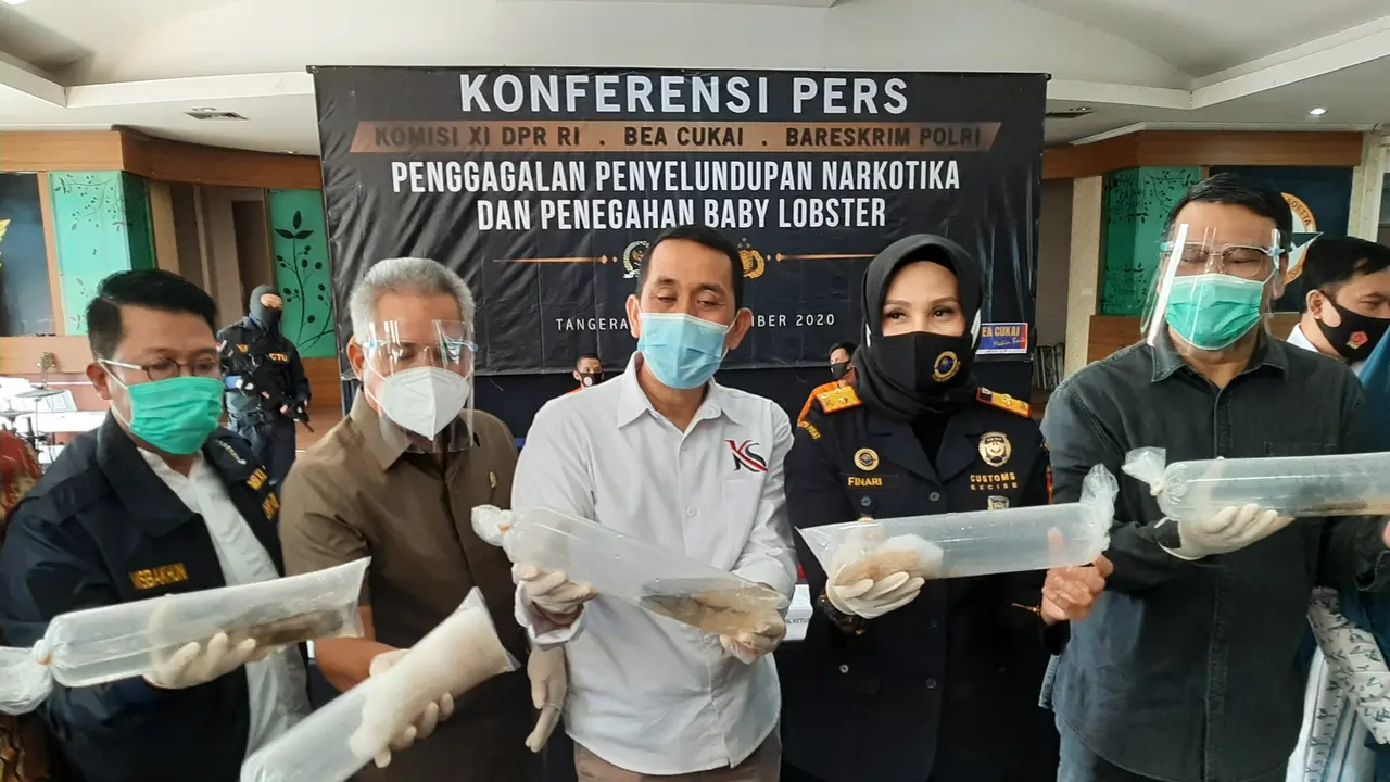 Upaya Penyelundupan Jutaan Benih Lobster ke Vietnam Digagalkan Petugas Bea dan Cukai