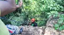 Aktivitas menjelajah dimulai dengan menggunakan peralatan khusus Single Rope Technique (SRT) seperti harness, ascender, dan descender. Satu per satu peserta diturunkan ke dasar gua oleh pemandu profesional. Dari dasar Luweng Jomblang, perjalanan berlanjut ke arah Luweng Grubug yang berjarak sekitar 300 meter. Setelah berjalan dalam kegelapan selama kurang lebih 10 menit, pengunjung akan tiba di lokasi fenomenal di mana “Cahaya Surga” menembus kegelapan gua dan menyinari dua stalagmit besar berwarna hijau kecokelatan—pemandangan yang sulit dilupakan. Tampak dalam foto, wisatawan didampingi pemandu goa saat turun untuk masuk ke dalam Goa Jomblang  di Gunung Kidul, Yogyakarta. (merdeka.com/Arie Basuki)