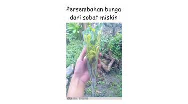 Meme Lucu Dapat Hadiah dari Sobat Miskin Ini Bikin Ketawa Ngakak