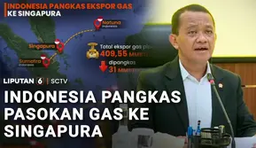 Pasokan Gas ke Singapura Dipangkas, RI Utamakan Kebutuhan Dalam Negeri