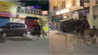 Pria bikin heboh warga karena aksinya tunggangi banteng tengah malam. (Sumber: Twitter/uttarakhandcops)