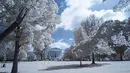 Pemandangan bagian depan gedung Mahkamah Agung yang terlihat melalui pepohonan di Washington DC (26/9). Foto ini dihasilkan dengan menggunakan kamera atau teknik Inframerah. (AFP Photo/Andrew Caballero-Renolds)