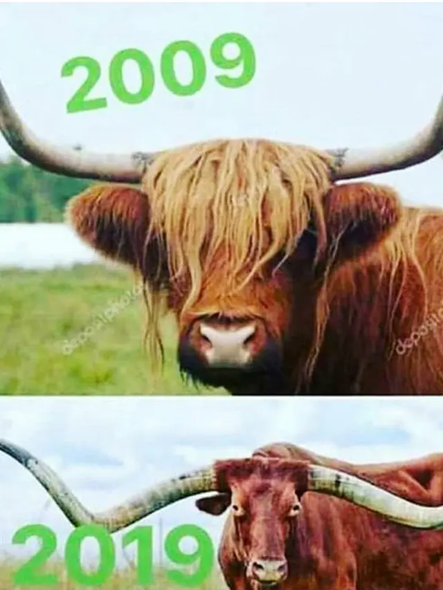 Deretan Potret Konyol 10 Year Challenge Buatan Warganet, Dijamin Ngakak