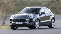 Diler Porsche Kedapatan Gunakan Macan Hidup buat Promosi