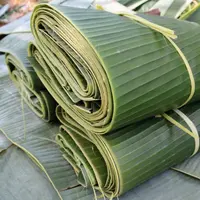 ilustrasi daun pisang/B.boonruksa/Shutterstock