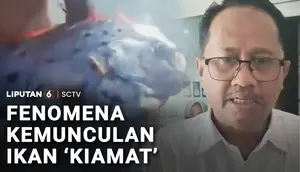 Fenomena Kemunculan Ikan 'Kiamat'