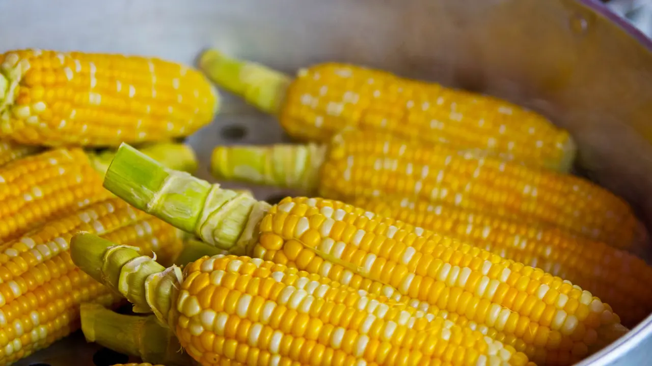 Jagung