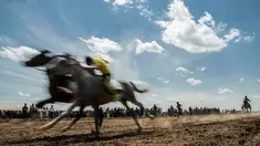 Peserta memacu kudanya saat mendekati garis finish selama festival kuda Arab di Karhuk, Hassakeh, Suriah (5/5/2019). Festival kuda Arab tahunan ini sudah berlangsung keenam kalinya di daerah Al-Jwadea. (AP Photo/Baderkhan Ahmad)
