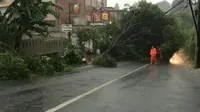 Pohon tumbang timpa kabel di Jeruk Purut Jakarta Selatan (TMC Polda Metro Jaya)