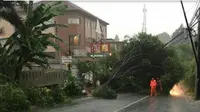 Pohon tumbang timpa kabel di Jeruk Purut Jakarta Selatan (TMC Polda Metro Jaya)