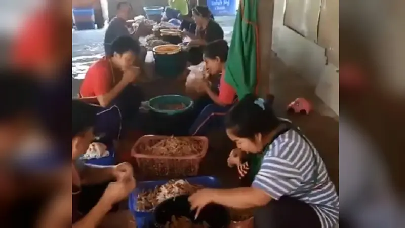 Sebuah pabrik penyedia ceker ayam jadi sorotan karena mengupas kulit dan kuku ceker ayam dengan mulut (Facebook/เพจคลิปดังเฟซบุ๊ก)
