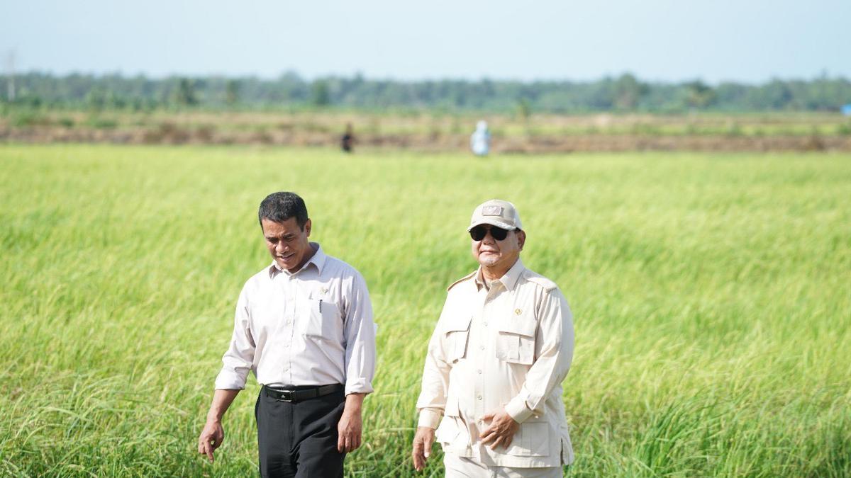 Indonesia Capai Swasembada Pangan Lagi di Era Prabowo