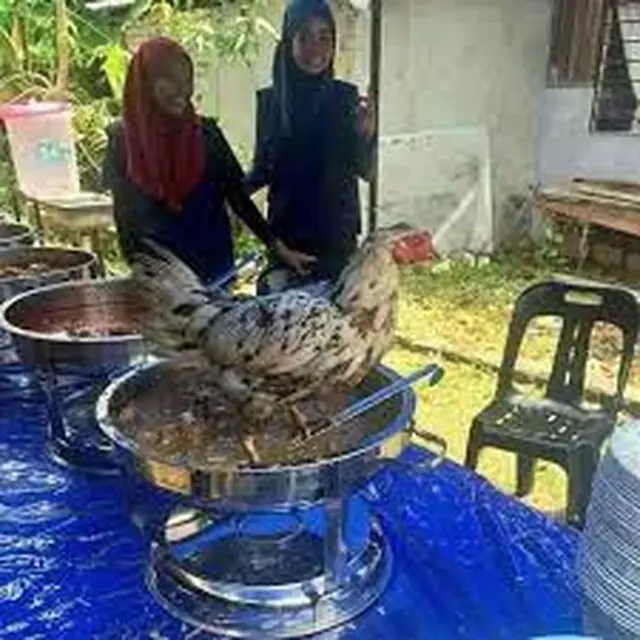9 Tingkah Ayam Ganggu Manusia Ini Bikin Geregetan, Kocak