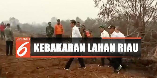 Kala Jokowi Lihat Langsung Pemadaman Kebakaran Hutan di Riau
