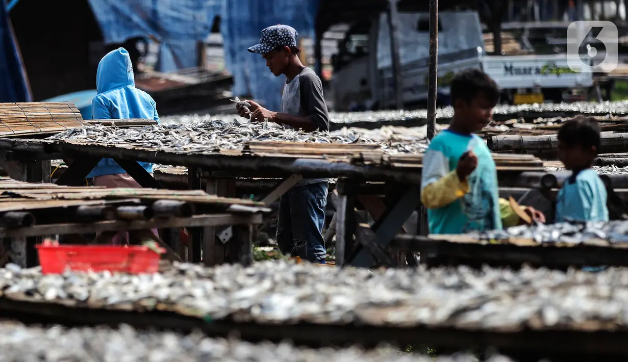 Pekerja menjemur ikan asin di sentra produksi kawasan Kampung Nelayan Muara Angke, Jakarta, Kamis,(17/2/2022). Kementerian Keuangan mengalokasikan anggaran untuk program Pemulihan Ekonomi Nasional (PEN) tahun 2022 sebesar Rp455,62 triliun. (Liputan6.com/Johan Tallo)