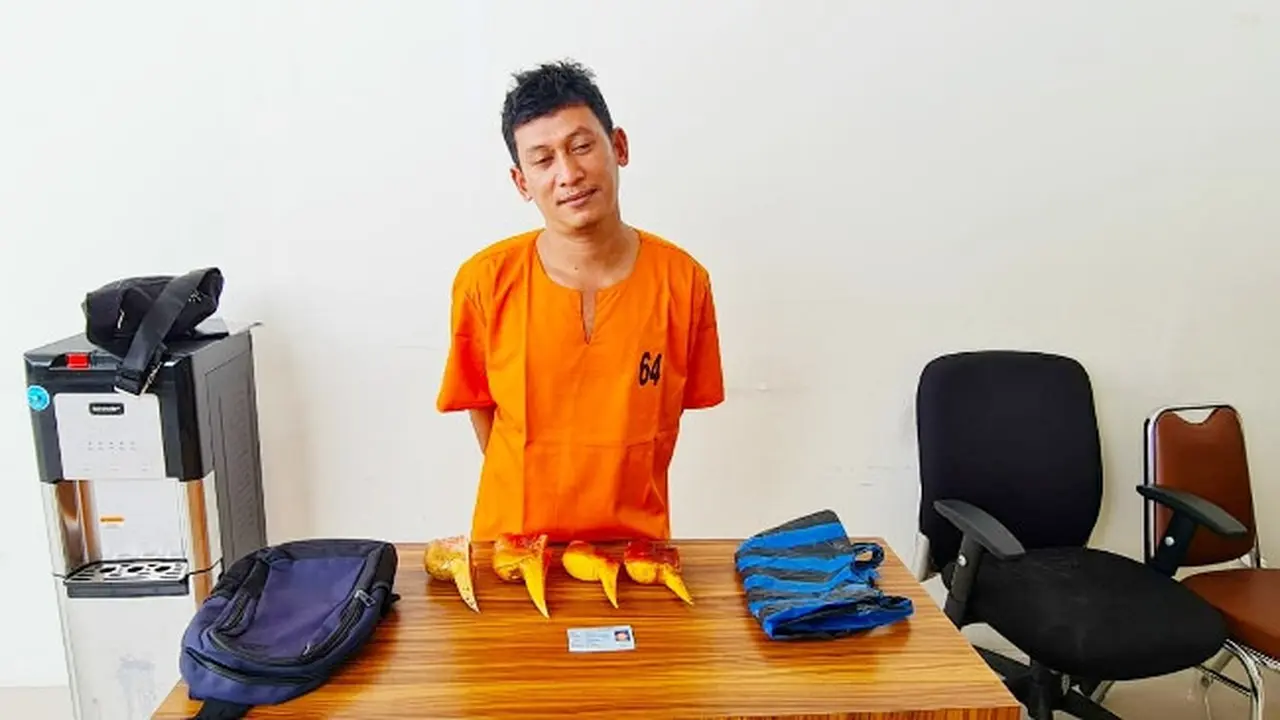 Tersangka dan barang bukti paruh burung rangkong di Polda Riau.
