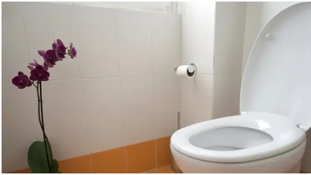 Foto: copyright diynetwork.com