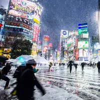 Tokyo, Jepang. (photocircle.net)