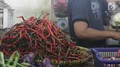 Sempat menginjak harga Rp 100.000 per kilogram (kg), saat ini harga cabai merah keriting terpantau sudah mengalami penurunan yang cukup signifikan di Pasar Malabar, Tangerang.