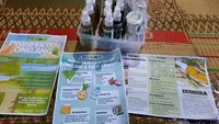 Onclang dan Serai, Bahan Lokal Desa Munding Disulap Mahasiswa UNNES Jadi Spray Anti Nyamuk Ramah Lingkungan