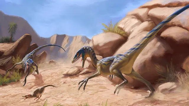 Reptil