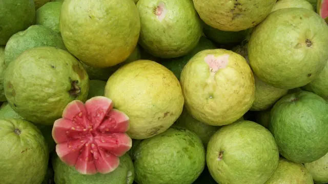 20150801-Ini Rahasia Bikin Awet Muda dan Anti Keriput Meski Usia Bertambah-Jambu Biji