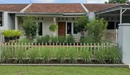 7 Tanaman yang Bisa Ditaruh Dekat Jendela agar Lalat Tidak Betah di Rumah