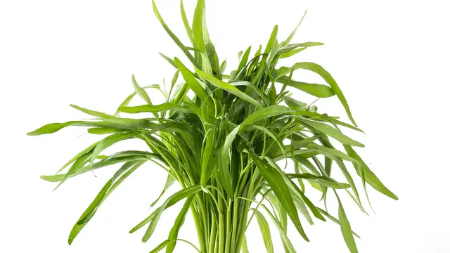 5 Ide Olahan Kangkung yang Murah dan Sehat untuk Makan Siang Ala Rumahan