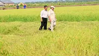 Sempat Disebut Banyak Janji, Prabowo Pasang Badan Bela Mentan Amran Soal Swasembada Pangan