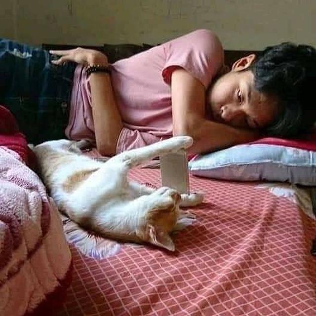 6 Potret Nyeleneh Saat Orang Bosan di Rumah