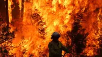 Kebakaran Makin Parah, Ribuan Warga Australia Diminta Menepi ke Pantai