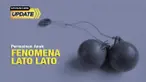 fenomena lato lato