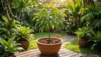 Cara Menanam Pohon Alpukat di Pot, Ikuti Langkah-Langkahnya agar Tumbuh Maksimal