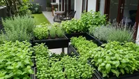 7 Ide Herbal Garden Khusus Tanaman Obat Keluarga Tapi Tetap Estetik, Bikin Hunian Makin Cantik