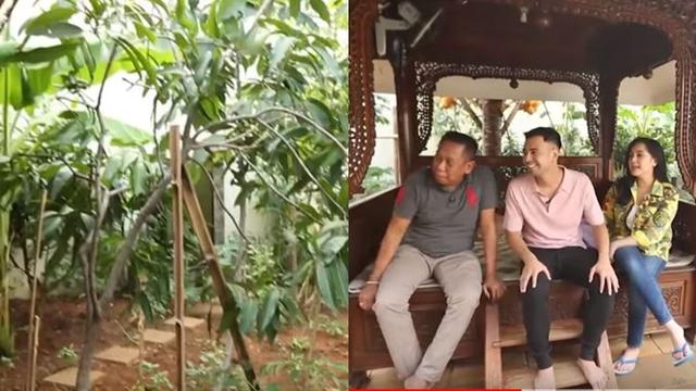 Di rumah Tukul terdapat berbagai jenis tanaman seperti kebun singkong dan pohon durian.